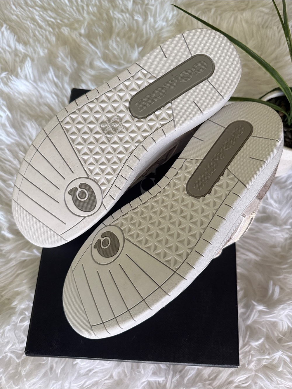 Coach Kids Logo-Print Sneakers in Beige and Cream - Picture 6 of 8